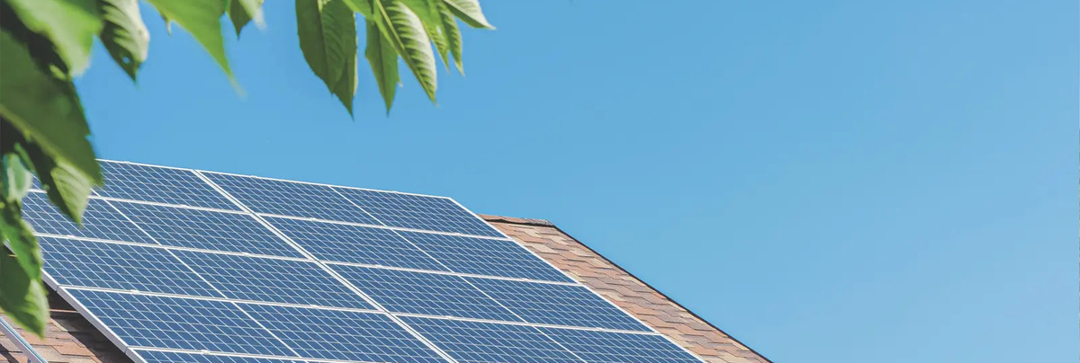 Solarmodule auf einem Dach mit Blättern im Vordergrund.