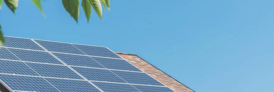 Solarmodule auf einem Dach mit Blättern im Vordergrund.