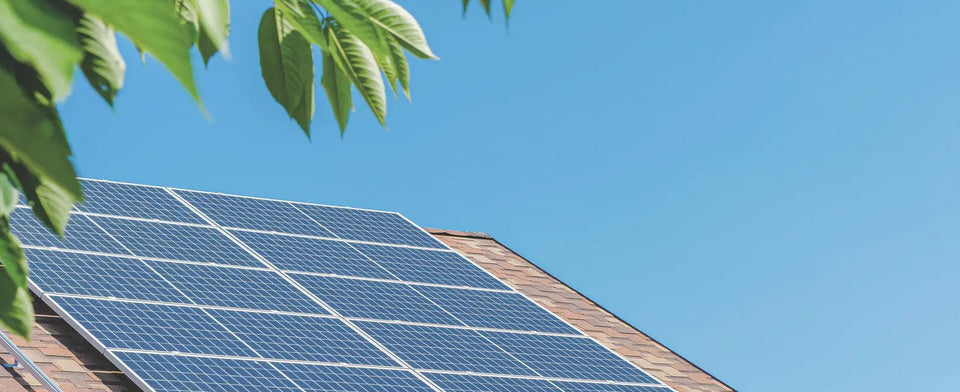Solarmodule auf einem Dach mit Blättern im Vordergrund.