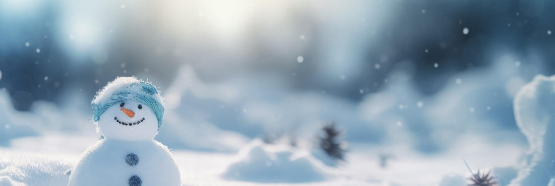 Anker Solarbank 3 Pro im Winterbetrieb