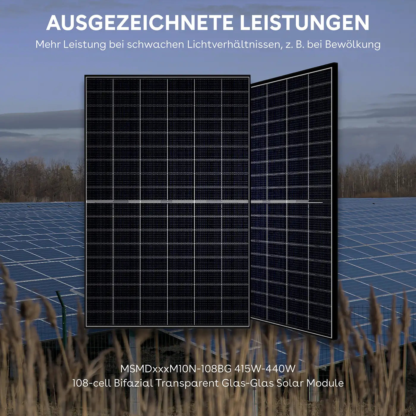 440W MSMDxxxM10N-108BG Transparent Bifaziale Solarmodul Glas-Glas – Produktansicht 08
