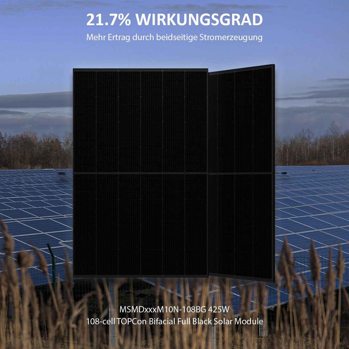 MSMDxxxM10N-108BG solar panel 425w TSM-425NEG9RC.27