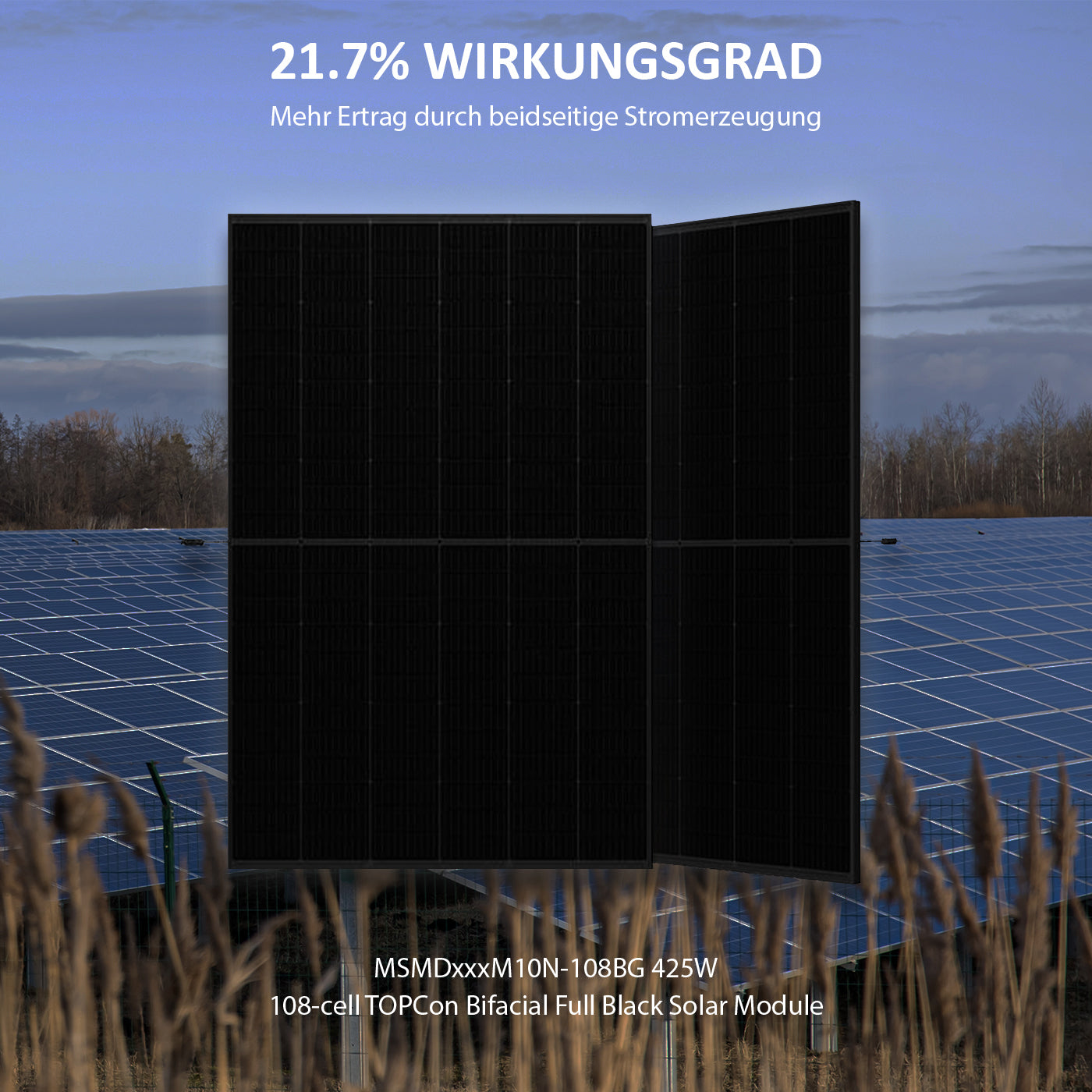 MSMDxxxM10N-108BG solarpanel 425w TSM-425NEG9RC.27 – Produktansicht 03 2