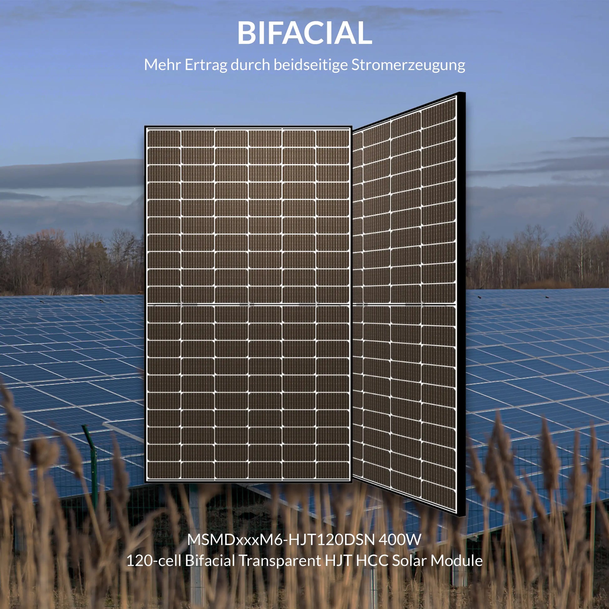Panneau solaire en verre MSMDxxxM6-HJT120DSN